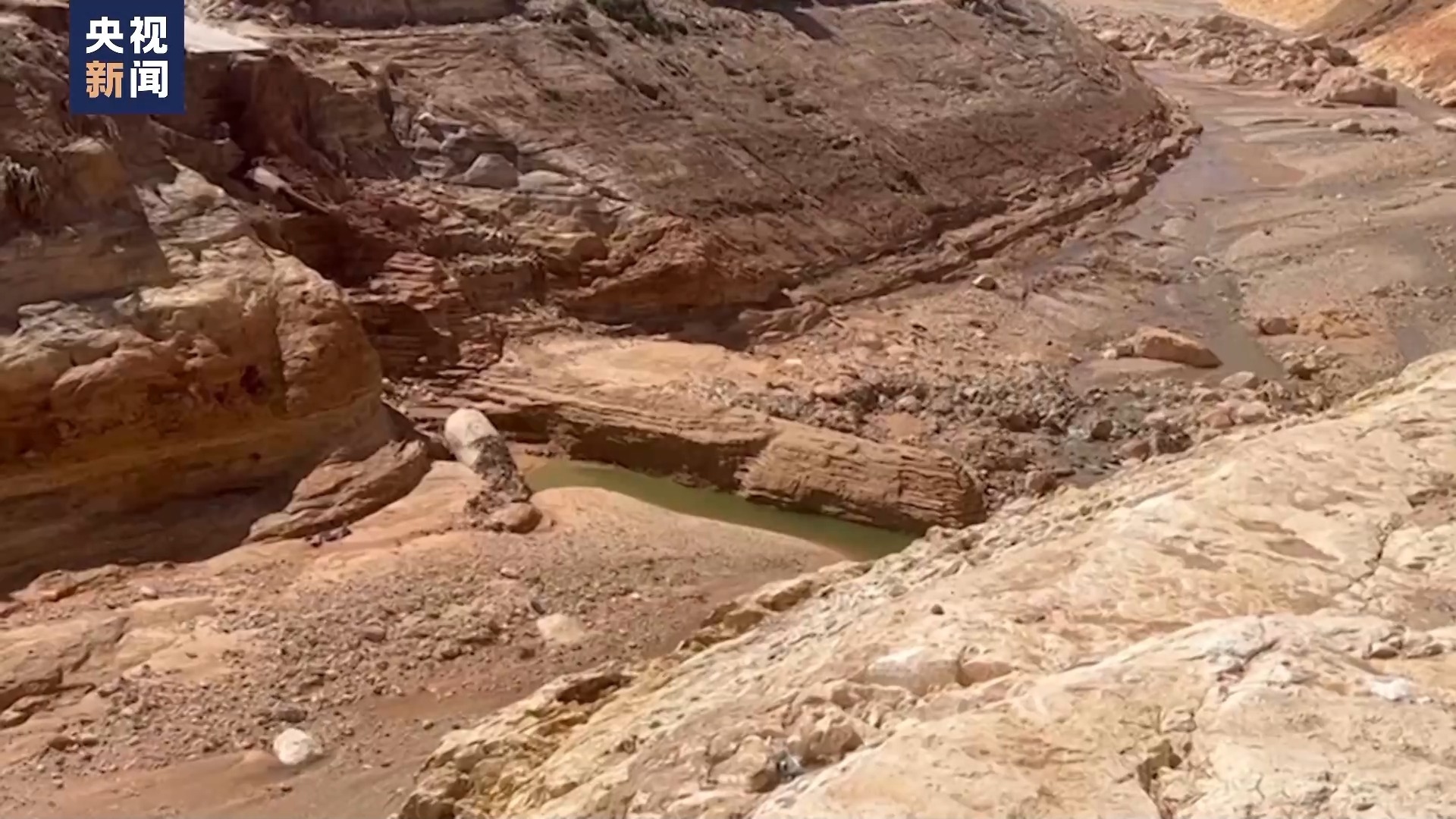 搜狗浏览器